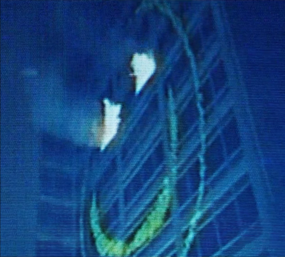 F**** C*** Laptop Stickers (2+1 Free)