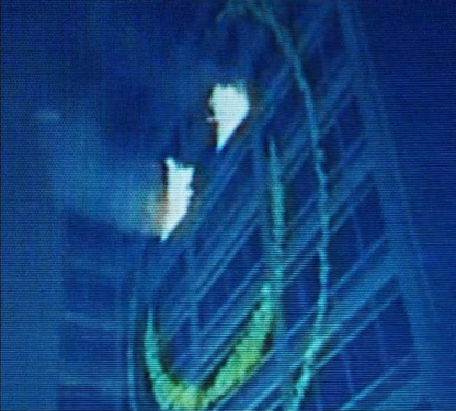 F**** C*** Laptop Stickers (2+1 Free)